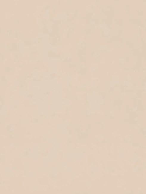 SIENNE Concretta Micro Concrete color chart surface texture